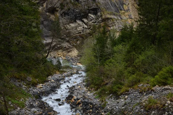 stock image Beautiful view of mountain stream surrounded by green plants and stones outdoors