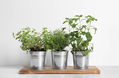 Beyaz ahşap masada farklı aromatik saksılar.