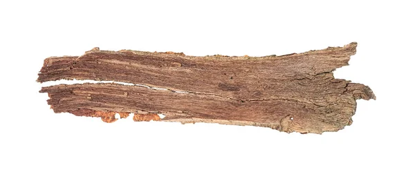 Kawałek Kory Drzewa Odizolowany Białym Górnym Widoku — Zdjęcie stockowe