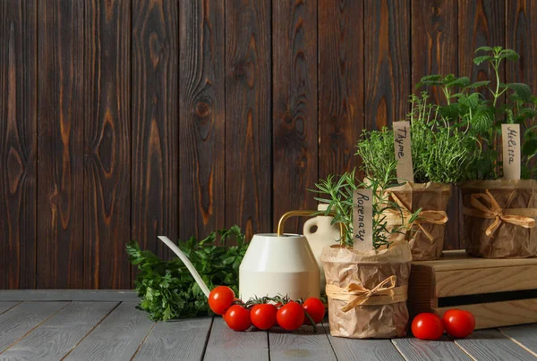 stock image Different aromatic potted herbs, watering can and tomatoes on grey wooden table. Space for text