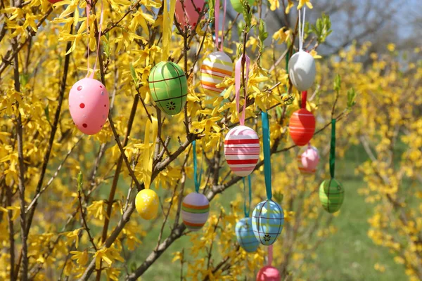 Huevos Pascua Bellamente Pintados Colgando Árbol Aire Libre Primer Plano —  Fotos de Stock