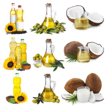 Ayçiçeği, avokado, hindistan cevizi ve zeytinyağlı kolaj beyaz üzerine izole