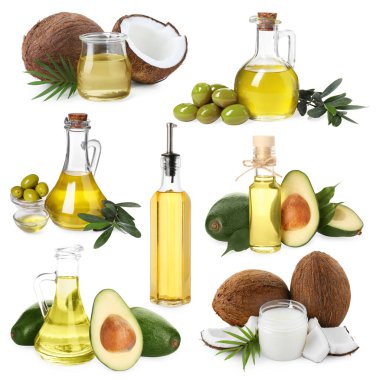 Ayçiçeği, avokado, hindistan cevizi ve zeytinyağlı kolaj beyaz üzerine izole