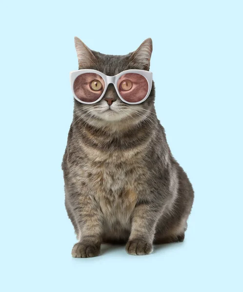 Cute Fluffy Cat Sunglasses Light Blue Background — Stock Photo, Image