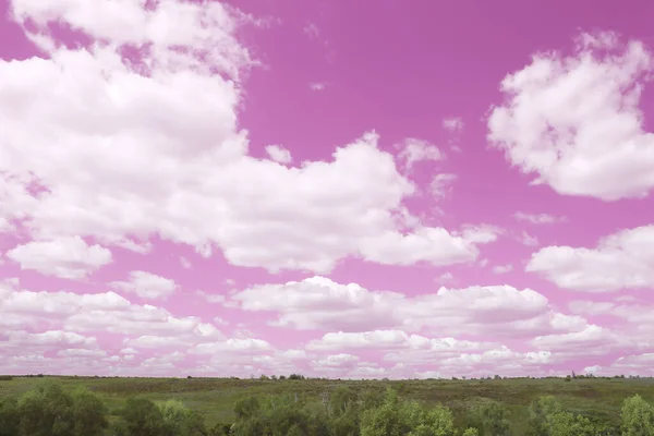 Niesamowite Różowe Niebo Puszystymi Chmurami Nad Zieloną Łąką Drzewami — Zdjęcie stockowe