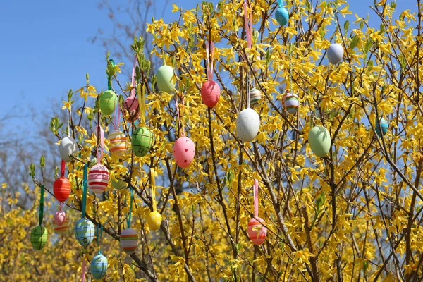 Красиво Пофарбовані Великодні Яйця Звисають Дереві Відкритому Повітрі — стокове фото