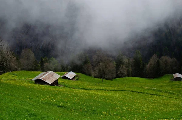 Vue Pittoresque Vallée Avec Des Bâtiments Près Forêt Couverte Brouillard — Photo