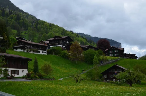 Malerischer Blick Auf Dorf Und Wald Hochgebirge — Stockfoto