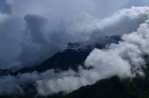 Schilderachtig Uitzicht Bergen Met Bos Bedekt Door Mist — Stockfoto