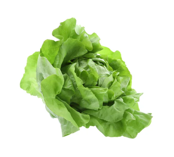 Frische Grüne Butter Salatkopf Isoliert Auf Weiß — Stockfoto