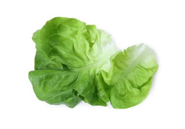 新鲜的绿色奶油生菜叶子被隔离在白色的顶部视图 — 图库照片