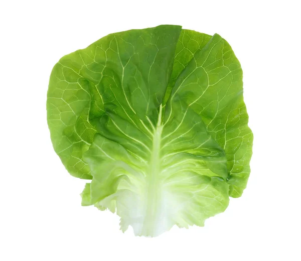 Fresh Green Butter Lettuce Leaf Isolated White — Stock Photo, Image