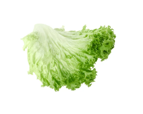 One Green Lettuce Leaf Isolated White Salad Greens — Stock Photo, Image