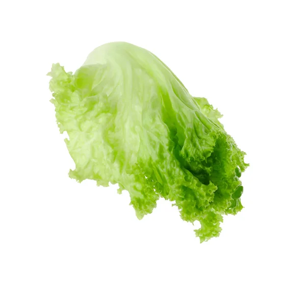 Una Foglia Lattuga Verde Isolata Bianco Insalate Verdi — Foto Stock