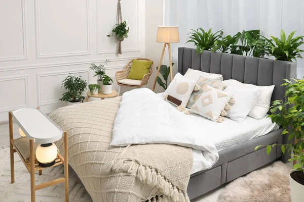 Großes Bequemes Bett Lampe Und Schöne Zimmerpflanzen Schlafzimmer Innenarchitektur — Stockfoto
