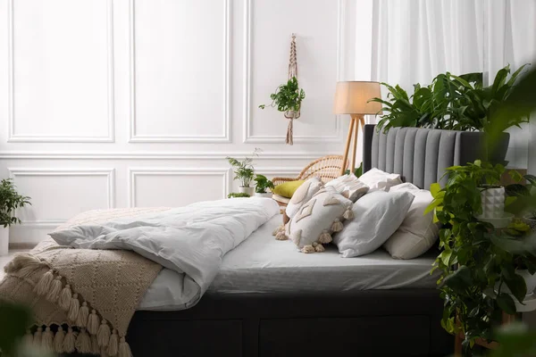 Yatak Odasında Büyük Rahat Bir Yatak Lamba Güzel Bitkiler Tasarım — Stok fotoğraf