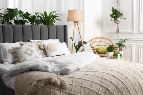 快適なベッド ウィッカーアームチェア ランプ 部屋の美しい観葉植物 寝室のインテリア — ストック写真