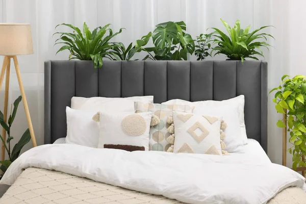 Yatak Odasında Büyük Rahat Bir Yatak Lamba Güzel Bitkiler Tasarım — Stok fotoğraf
