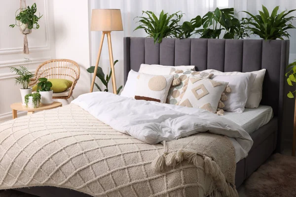 Comfortable bed, wicker armchair, lamp and beautiful houseplants in room. Bedroom interior