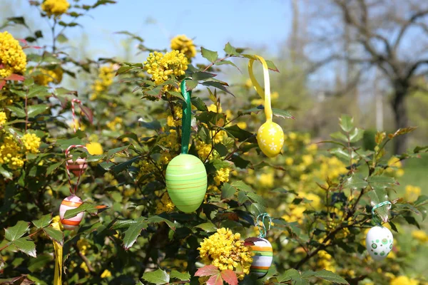 Beautifully Painted Easter Eggs Hanging Tree Outdoors — Stock Photo, Image