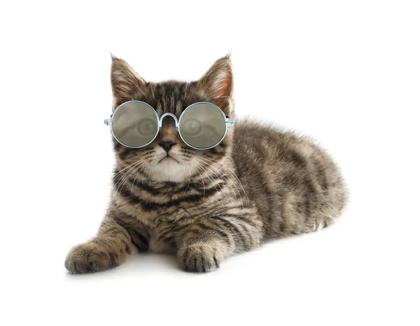 Cute Fluffy Kitten Sunglasses White Background — Stock Photo, Image
