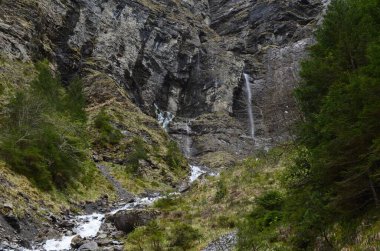 Güzel dağ deresinin ve kayaların manzarası.