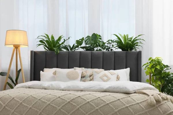 ベッドルームで大きな快適なベッド ランプ 美しい観葉植物 インテリアデザイン — ストック写真