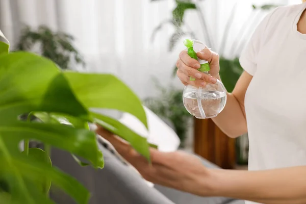 Woman Spraying Beautiful Houseplants Water Home Closeup — Stock Photo, Image