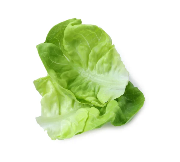 Fresh Green Butter Lettuce Leaves Isolated White — Stock Photo, Image