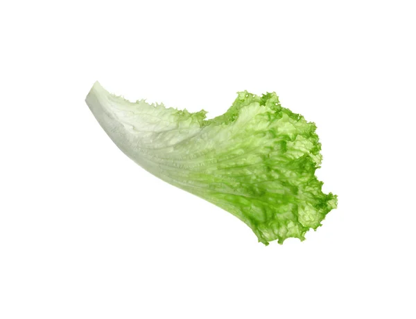 Una Foglia Lattuga Verde Isolata Bianco Insalate Verdi — Foto Stock