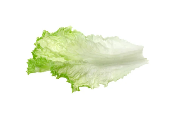 Ένα Πράσινο Φύλλο Μαρουλιού Απομονωμένο Λευκό Λαχανικά Σαλάτας — Φωτογραφία Αρχείου