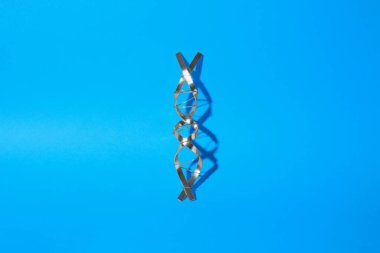 Mavi arka planda metalden yapılmış DNA moleküler zinciri modeli, üst görünüm