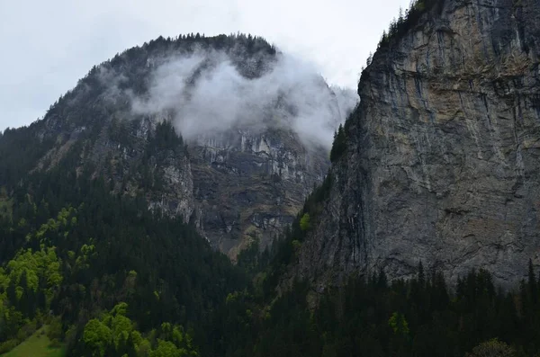 霧に覆われた森や山の絵のような景色 — ストック写真