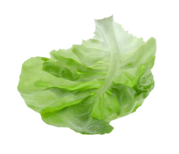 Fresh Leaf Green Butter Lettuce Isolated White — Stock Photo, Image