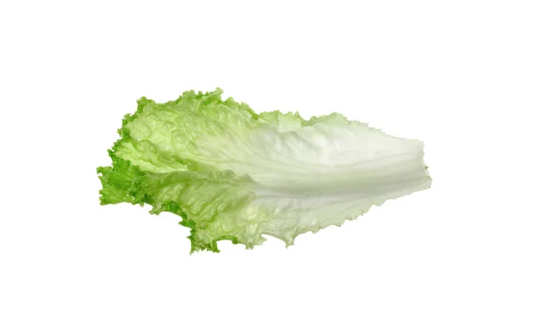 Beyaza Izole Edilmiş Bir Yeşil Marul Yaprağı Salata Yeşili — Stok fotoğraf