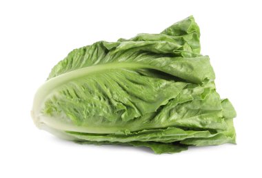 Taze yeşil romaine marulu beyaza izole edilmiş.
