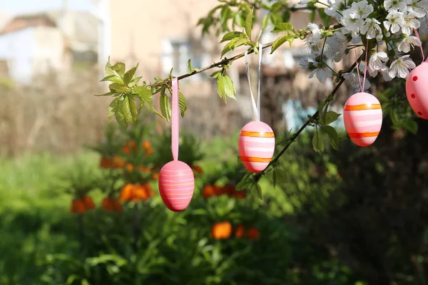 Beautifully Painted Easter Eggs Hanging Blooming Tree Outdoors Closeup — Stock Photo, Image