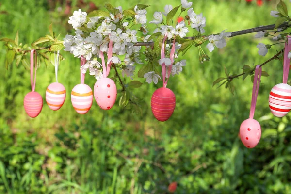 Beautifully Painted Easter Eggs Hanging Blooming Tree Outdoors — Stock Photo, Image