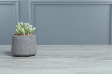 Gri duvarın yanındaki beyaz ahşap masada çiçek saksısında güzel yapay bitki, yazı için yer var.