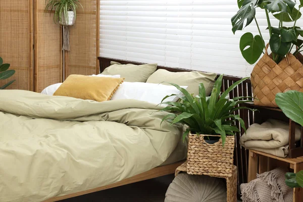 Lit Confortable Belles Plantes Intérieur Vertes Dans Chambre — Photo
