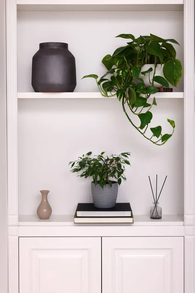 Diseño Interiores Estantes Con Accesorios Elegantes Plantas Maceta Libros Cerca —  Fotos de Stock