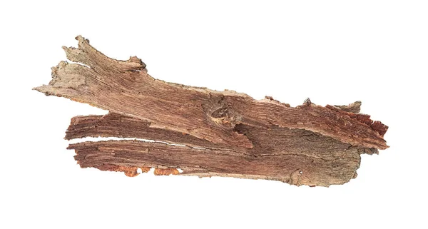 Κομμάτια Φλοιού Δέντρου Απομονωμένα Λευκό Πάνω Όψη — Φωτογραφία Αρχείου