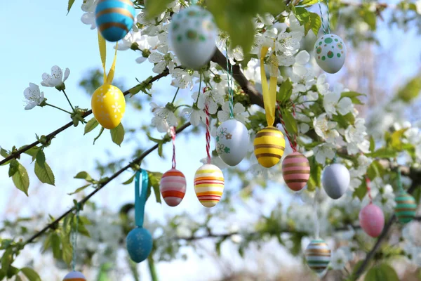 Красиво Окрашенные Пасхальные Яйца Висят Цветущем Дереве Открытым Небом Крупным — стоковое фото