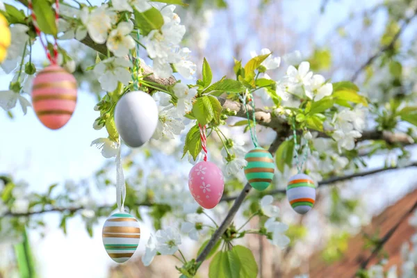 Красиво Окрашенные Пасхальные Яйца Висят Цветущем Дереве Открытым Небом Крупным — стоковое фото