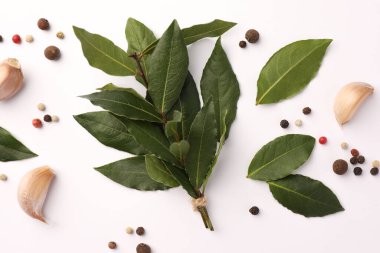 Beyaz arka planda Aromatik defne yaprakları ve baharatlar, düz yatıyordu