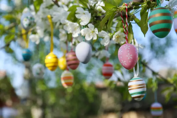 Huevos Pascua Bellamente Pintados Colgando Árbol Floreciente Aire Libre Espacio — Foto de Stock