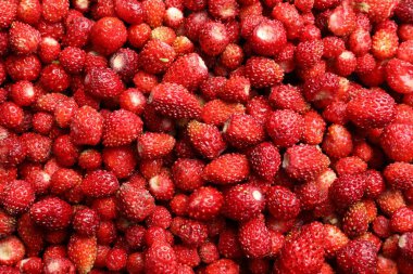 Arka plan olarak pek çok taze çilek, üst manzara