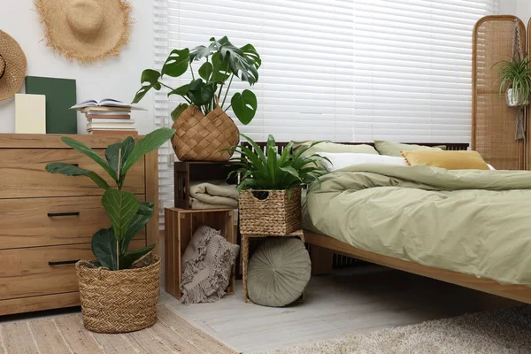 Άνετο Κρεβάτι Και Όμορφα Πράσινα Φυτά Στο Υπνοδωμάτιο — Φωτογραφία Αρχείου