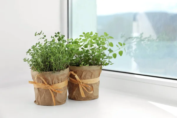 stock image Different fresh potted herbs on windowsill indoors. Space for text