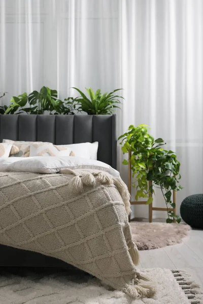 Cama Confortável Com Travesseiros Edredão Belas Plantas Sala Quarto Design — Fotografia de Stock